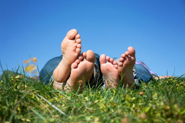 草に横たわる人々の足とつま先のクローズアップ - barefoot behavior toned image close up ストックフォトと画像