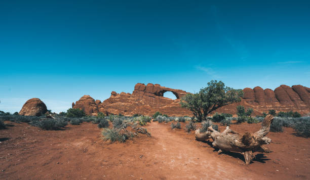istock Dry landscape and arch in Arches National Park 1404466893