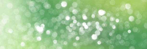 istock Summer green sparkling glitter bokeh background banner 1404468074