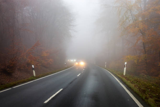 istock Autumnal road on a foggy day 1404468453