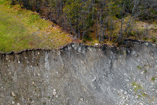 Woodland damaged by erosion, showing effects of a landslide. Erosion, landslide, environmental issues, geology.