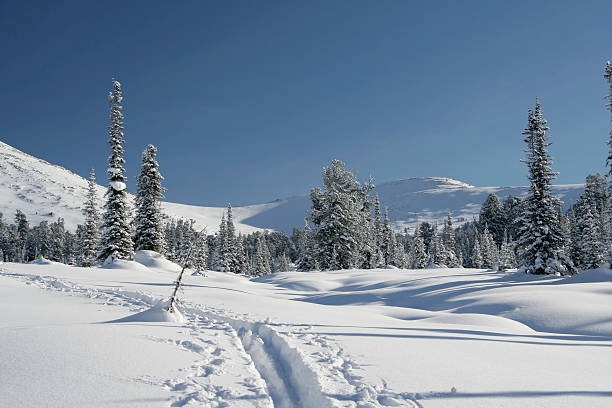istock Winter forest in mountains, ski-track 140446919