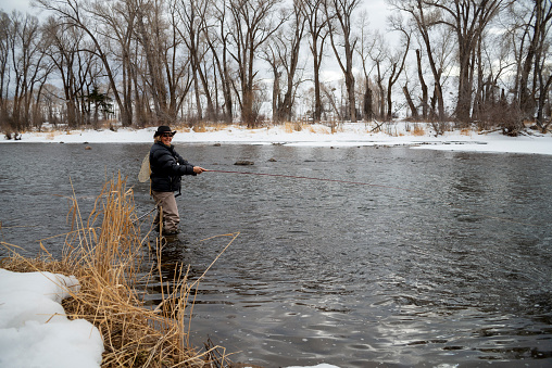 A senior woman, bundled up against the cold, wading in the Colorado River, and fly-fishing in the winter.