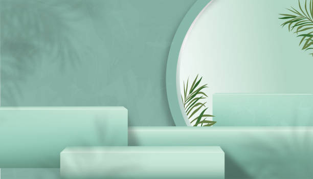 ilustrações de stock, clip art, desenhos animados e ícones de studio room background with 3d podium display, palm leaf shadow on green jade wall,vector illustration backdrop banner stand cube mockup,minimal style for beauty, cosmetic,spa product presentation - granite block backgrounds gray