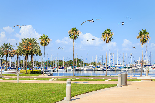 Bay with many yachts in St. Petersburg, Florida, USA