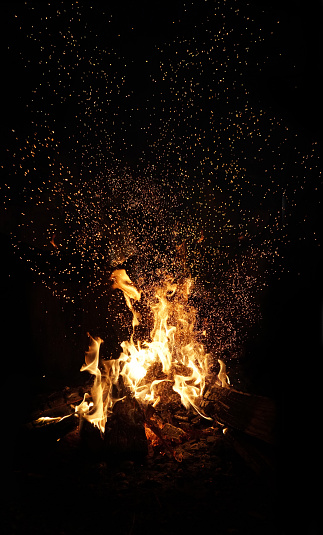 A Beautiful Campfire