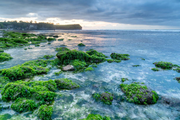 Sunset on Dreamland beach, Bali