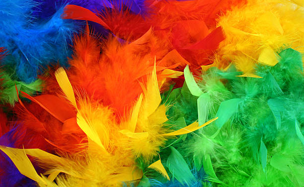 Rainbow Boa Colorful rainbow boa background. boa stock pictures, royalty-free photos & images