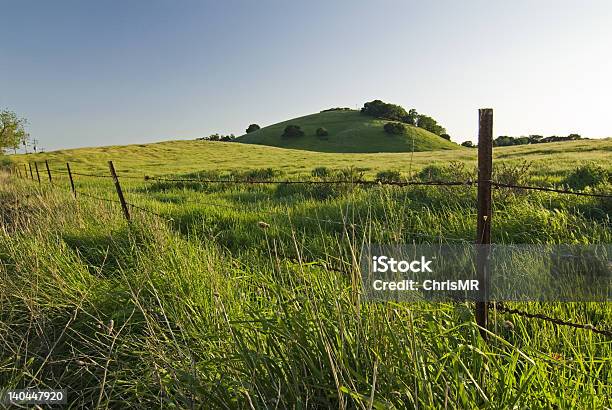 Zielone Wzgórza - zdjęcia stockowe i więcej obrazów Gospodarstwo - Gospodarstwo, Stan Kalifornia, Ogrodzenie - Granica