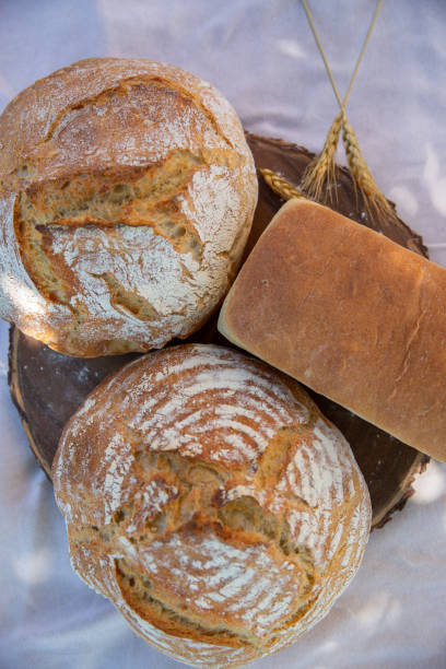 буханки хлеба на белом фоне. - soda bread bread brown bread loaf of bread стоковые фото и изображения