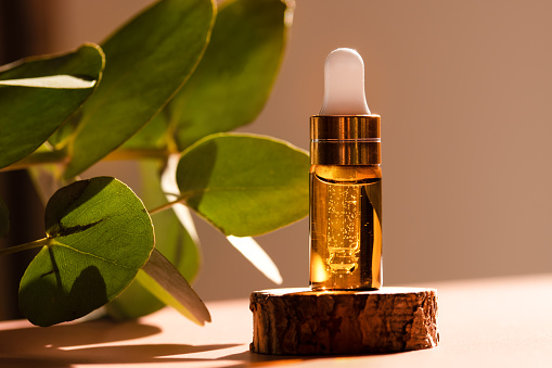 Cosmetic glass dropper bottle on wooden podium with oil, serum or fruit peeling in the sunlight. Green eucalyptus, soft focus. Beauty product presentation, natural background. Front. Mockup concept