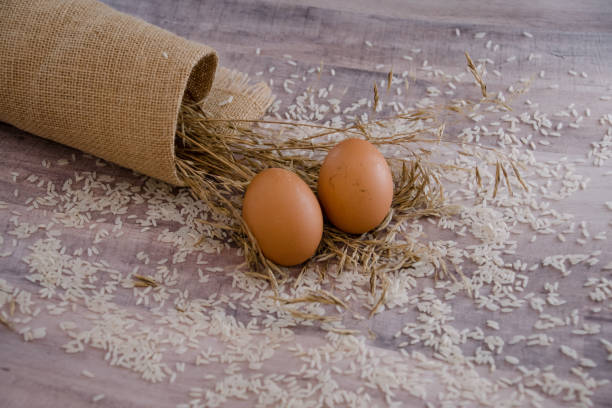 Rice and grain with eggs stock photo