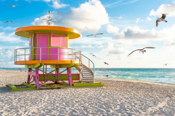 Photo of cabin at sunrise on the Miami Beach, Florida, USA with seagulls