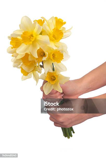 Hanno Un Fiore - Fotografie stock e altre immagini di Aiuola - Aiuola, Armonia, Astratto