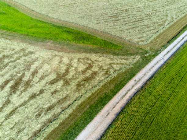 istock aerial view on fields of grain 1404485559
