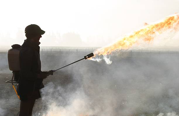 The fire starter stock photo