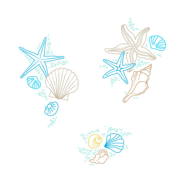 vektorsatz der illustration von linienkunst tropische meereselemente, muscheln, seesterne. kritzeleien von meereslebewesen. dekor am meer. ozean, meeresbewohner. maritime illustration - starfish wave stock-grafiken, -clipart, -cartoons und -symbole