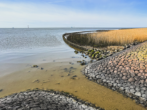 The coast on the North Sea with large and old stones, a wood protection and reeds.