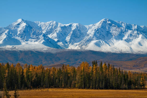 istock Sunny autumn day in the Altai mountains 1404492082
