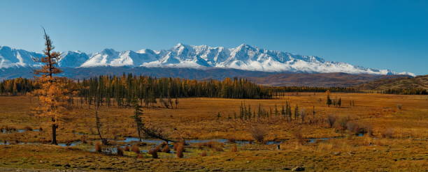 istock Sunny autumn day in the Altai mountains 1404492086