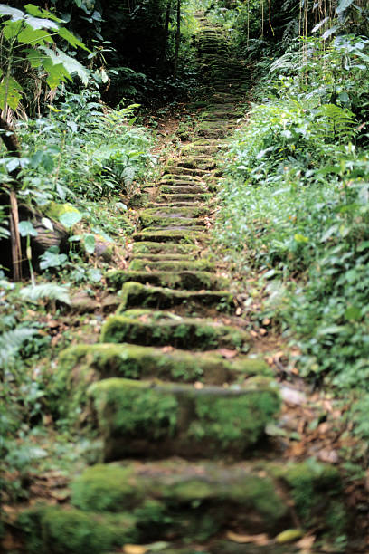 istock Steps to the Lost City 140449213