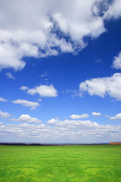 Green field, Blue sky - Lands stock photo