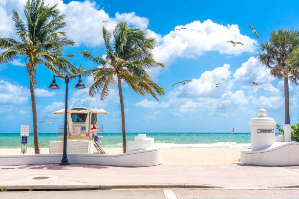 フォートローダーデールの晴れた日にヤシの木が生い茂るシーフロントのビーチプロムナード、カモメ - fort lauderdale fort florida beach ストックフォトと画像