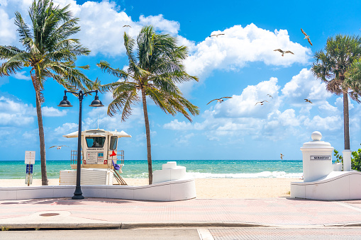 Seafront beach promenade with palm trees in Fort Lauderdale