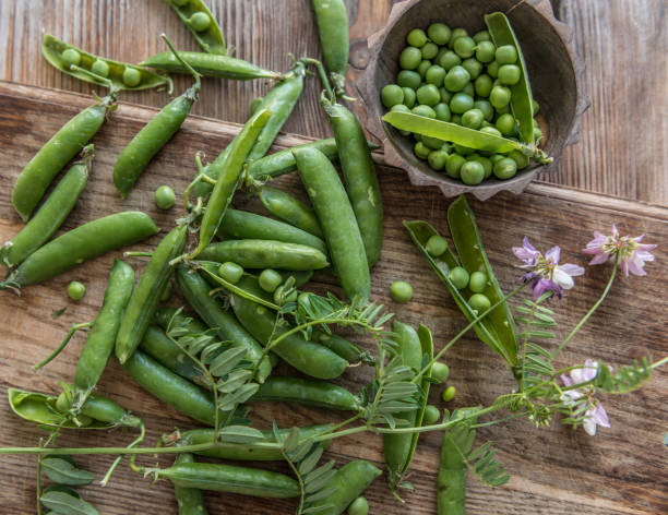 istock Fresh green peas right from a garden, topview 1404497497
