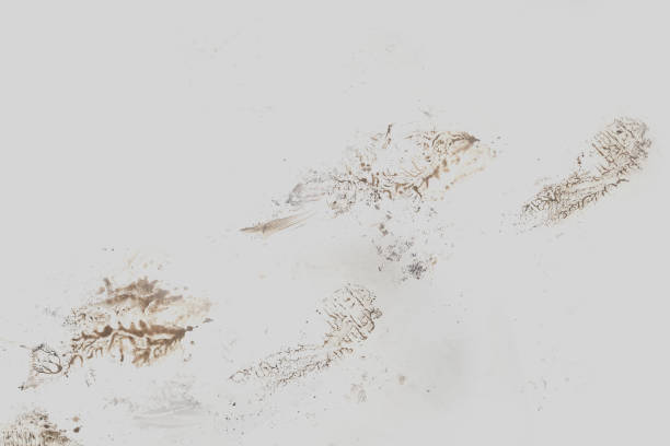 Dirty footprint on white background