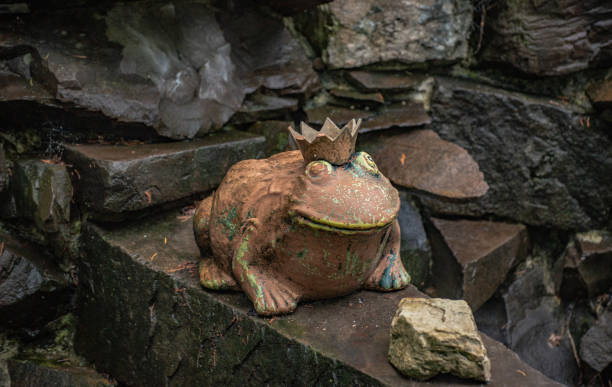 decoração de sapo em uma fonte abandonada no parque - frog batrachian animal head grass - fotografias e filmes do acervo