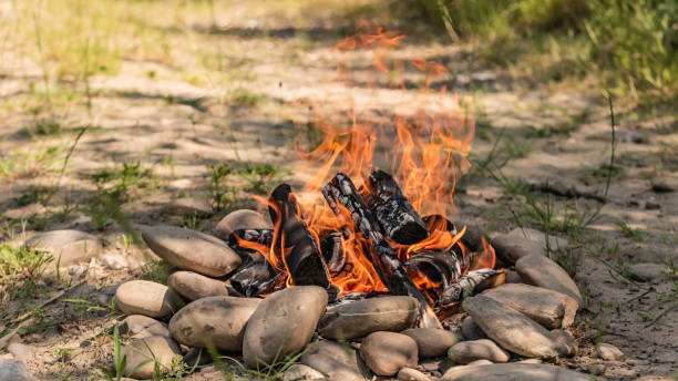Bonfire in nature on a windy summer day stock photo