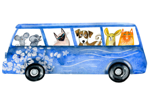 940+ Dog Bus Stock Illustrations, Royalty-Free Vector Graphics