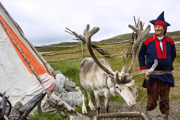 norvège: éleveur de cerfs et de rennes vêtus de vêtements nationaux les samis dans la région de la ville de honningsvag. - norwegian culture photos et images de collection