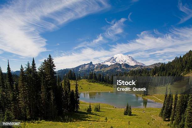 Mount Rainier 4392 M - zdjęcia stockowe i więcej obrazów Aranżacja - Aranżacja, Chmura, Drzewo