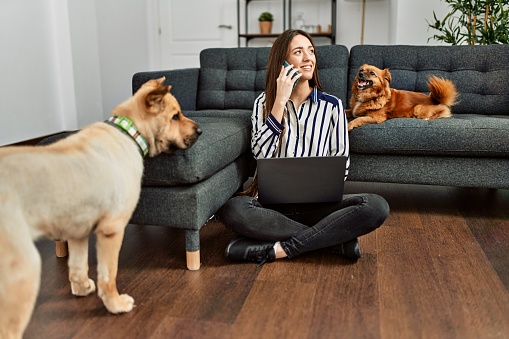 Young hispanic woman using laptop and talking on the smartphone sitting on floor with dogs at home