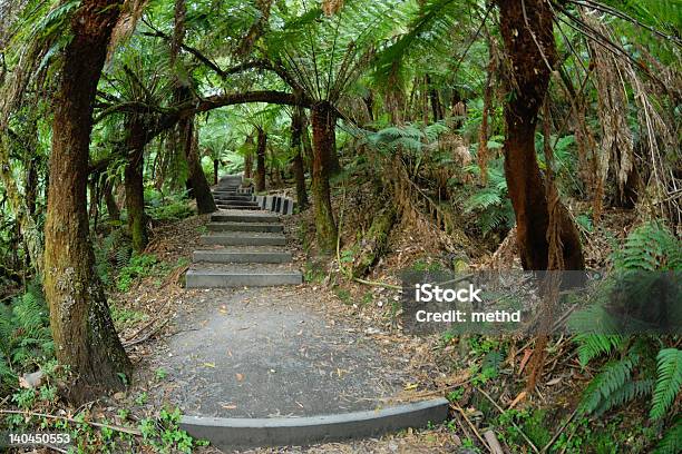 小道熱帯雨林 - オーストラリア ビクトリア州のストックフォトや画像を多数ご用意 - オーストラリア ビクトリア州, オーストラリア メルボルン, グレートオーシャンロード