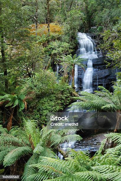 Foto de Cachoeiras e mais fotos de stock de Cascata - Cascata, Exterior, Floresta pluvial
