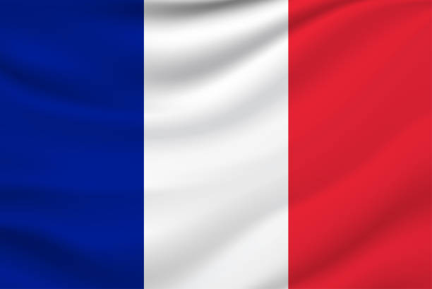 flaga francji. wektor - french flag france red blue stock illustrations