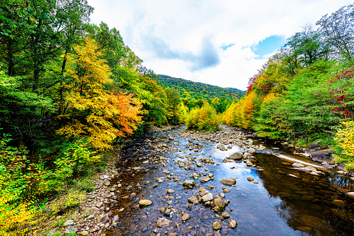 trees and colorful leaves reflecing on water under blue sky