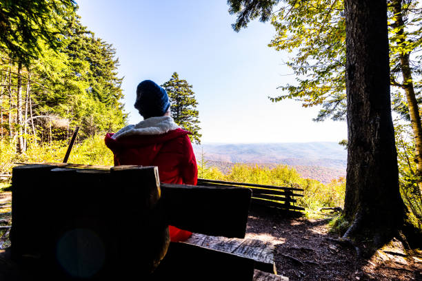 indietro donna persona che si siede sulla panchina di legno guardando ad alto angolo si affacciano di autunno autunno acero rosso paesaggio foglia colore alberi in manopola gaudineer monongahela foresta nazionale rasoi allegheny montagne - bench mountain park sitting foto e immagini stock