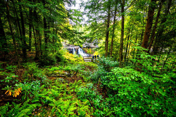 Davis, WV Blackwater Falls famous waterfall in State Park in West Virginia during autumn fall season with people at overlook looking at view through green forest