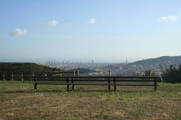 Bank in front of the city. stock photo