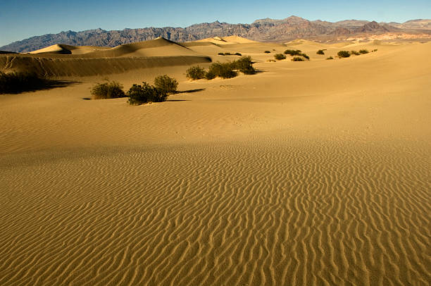 istock Dunes Death Valley National Park 140451071