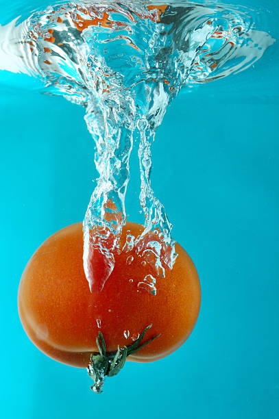 Tomato in water stock photo