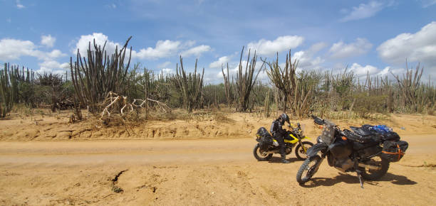 istock The Guajira Desert 1404512196