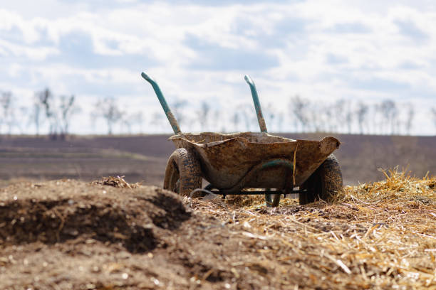 istock Wheelbarrow with manure in a field 1404512368