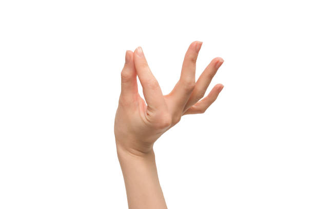 istock Woman hand isolated on a white background. 1404512374
