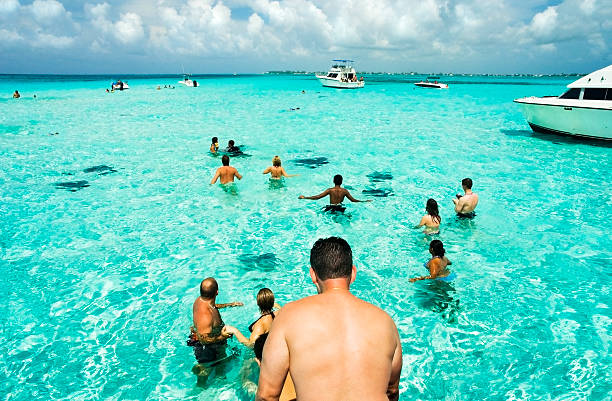 stingray de plongée - cayman islands photos et images de collection