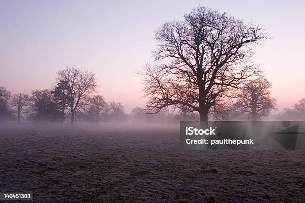 Niebla De La Mañana Temprana Park Foto de stock y más banco de imágenes de Bury St. Edmunds - Bury St. Edmunds, East Anglia, Escarcha